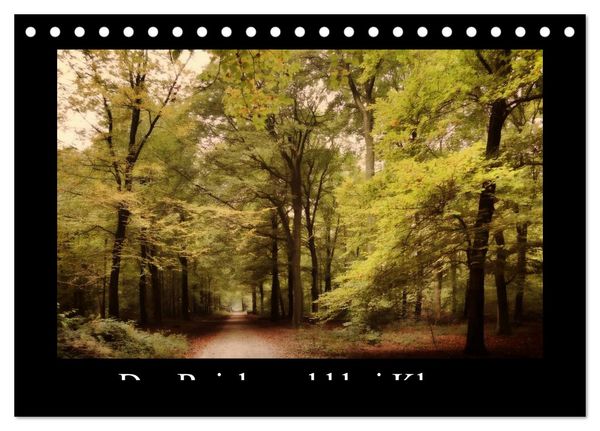 Produktbild: Der Reichswald bei Kleve (Tischkalender 2026 DIN A5 quer), CALVENDO Monatskalender