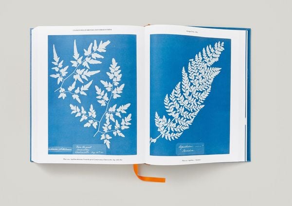 Produktbild: Anna Atkins. Cyanotypes