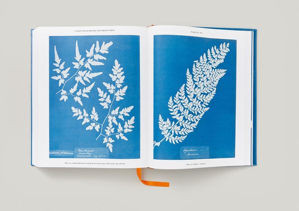 Produktbild: Anna Atkins