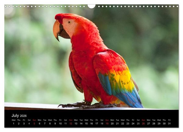 Produktbild: Peru - from the Andes to the Amazon / UK-Version (Wall Calendar 2026 DIN A3 landscape), CALVENDO 12 Month Wall Calendar