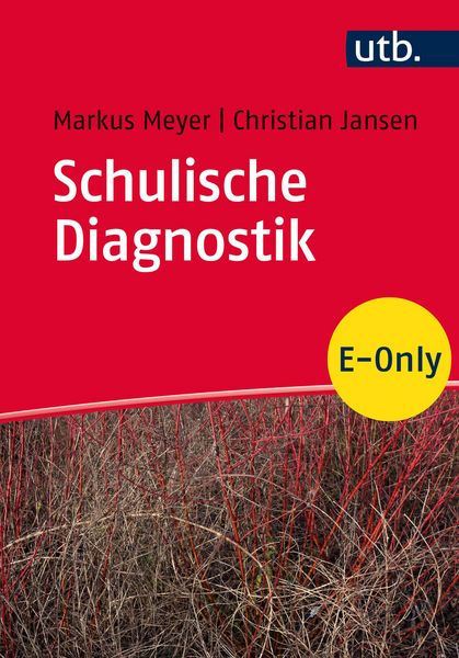 Produktbild: Schulische Diagnostik