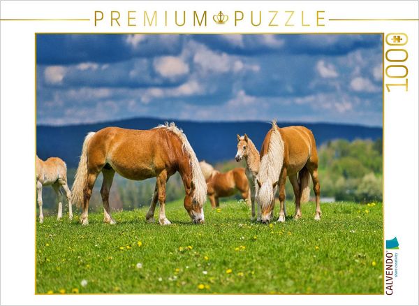 CALVENDO Puzzle Haflinger Gruppe beim genießen der frischen Luft | 1000 Teile Lege-Größe 64x48cm Foto-Puzzle für glückliche Stunden