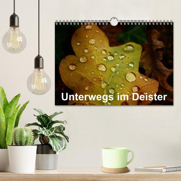 Produktbild: Unterwegs im Deister (Wandkalender 2026 DIN A4 quer), CALVENDO Monatskalender