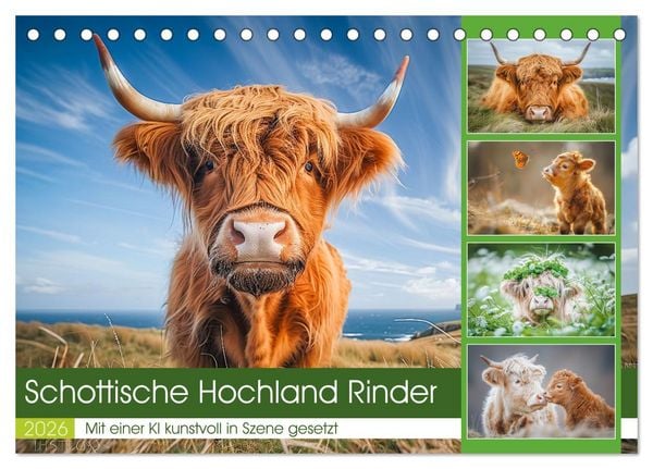Produktbild: Schottische Hochland Rinder (Tischkalender 2026 DIN A5 quer), CALVENDO Monatskalender