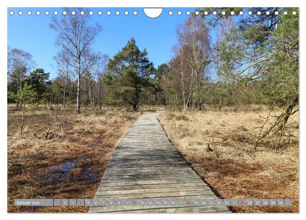 Produktbild: Pietzmoor - ein Hochmoor in der L&uuml;neburger Heide (Wandkalender 2026 DIN A4 quer), CALVENDO Monatskalender