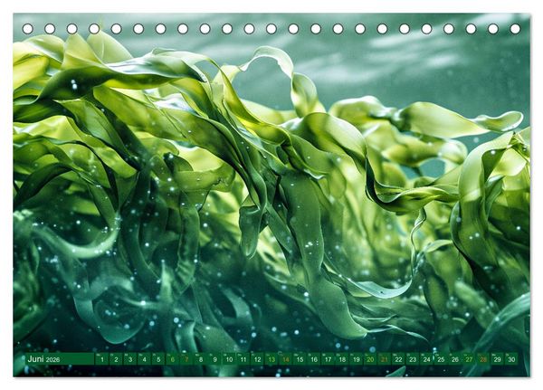 Produktbild: Algen - Superfood (Tischkalender 2026 DIN A5 quer), CALVENDO Monatskalender