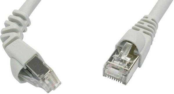 Telegärtner 100008011 RJ45 Netzwerkkabel, Patchkabel CAT 6a S/FTP 1.00 m Grau Flammwidrig, mit Rastnasenschutz 1 St.