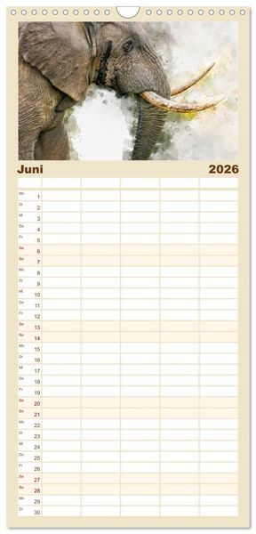 Produktbild: Familienplaner 2026 - Elefanten - k&uuml;nstlerische Impressionen der gr&ouml;&szlig;ten noch lebenden Landtiere mit 5 Spalten (Wandkalender, 21 x 45 cm) CALVENDO
