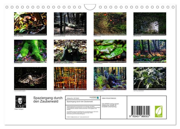 Produktbild: Spaziergang durch den Zauberwald (Wandkalender 2026 DIN A4 quer), CALVENDO Monatskalender