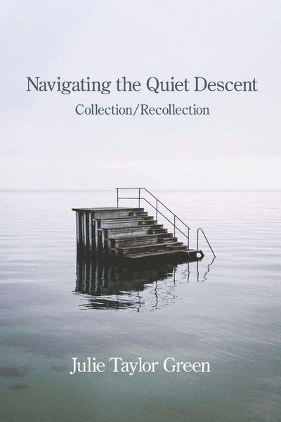 Produktbild: Navigating the Quiet Descent