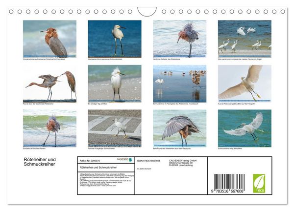 Produktbild: R&ouml;telreiher und Schmuckreiher (Wandkalender 2026 DIN A4 quer), CALVENDO Monatskalender