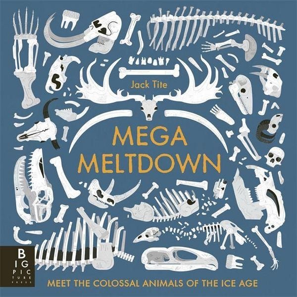Produktbild: Mega Meltdown
