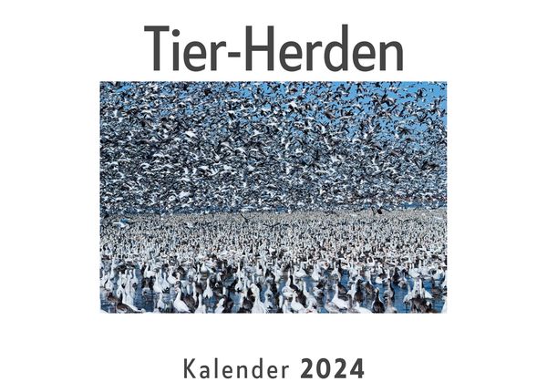 Produktbild: Tier-Herden (Wandkalender 2024, Kalender DIN A4 quer, Monatskalender im Querformat mit Kalendarium, Das perfekte Geschenk)