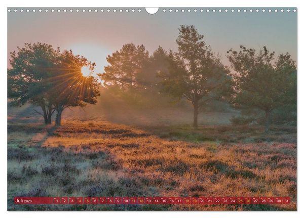 Produktbild: Naturpark Niederlausitzer Heidelandschaft - Heidebl&uuml;te (Wandkalender 2026 DIN A3 quer), CALVENDO Monatskalender