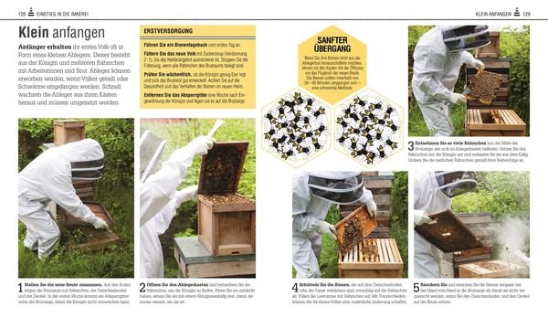 Produktbild: Das Bienen Buch