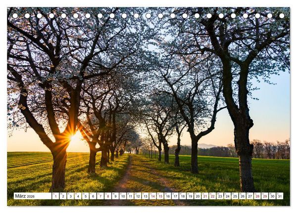 Produktbild: Sonnige Augenblicke (Tischkalender 2026 DIN A5 quer), CALVENDO Monatskalender