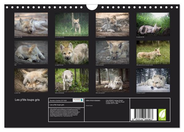 Produktbild: Les p'tits loups gris (Calendrier mural 2026 DIN A4 vertical), CALVENDO calendrier mensuel