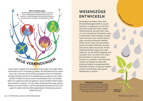 Produktbild: SIMPLY. Das Gehirn