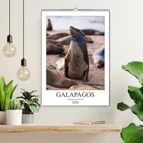 Produktbild: Galapagos - Atemberaubende Tierwelt (Wandkalender 2026 DIN A2 hoch), CALVENDO Monatskalender
