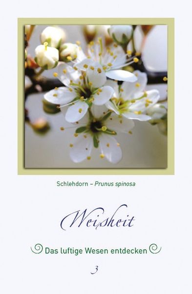 Produktbild: Magische Pflanzenbilder