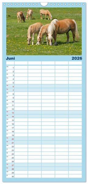 Produktbild: Familienplaner 2026 - Ostseeinseln R&uuml;gen, Hiddensee, Ummanz mit 5 Spalten (Wandkalender, 21 x 45 cm) CALVENDO