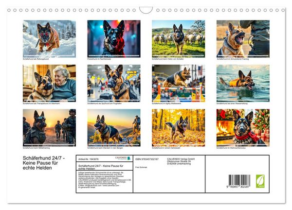 Produktbild: Sch&auml;ferhund 24/7 - Keine Pause f&uuml;r echte Helden (Wandkalender 2026 DIN A3 quer), CALVENDO Monatskalender