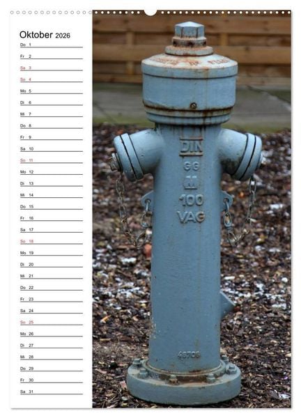 Produktbild: Nostalgie Hydranten (Wandkalender 2026 DIN A2 hoch), CALVENDO Monatskalender