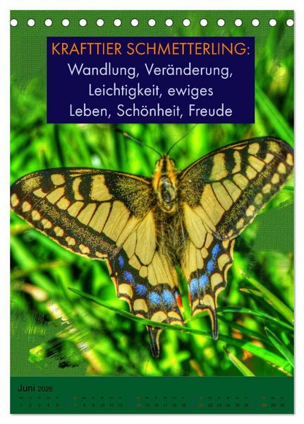 Produktbild: Afrikanische Krafttiere und deren Bedeutung (Tischkalender 2026 DIN A5 hoch), CALVENDO Monatskalender