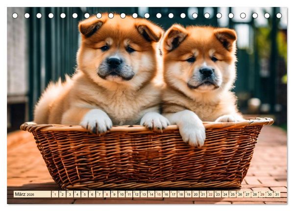 Produktbild: Akita Inu - Inbegriff der Treue (Tischkalender 2026 DIN A5 quer), CALVENDO Monatskalender