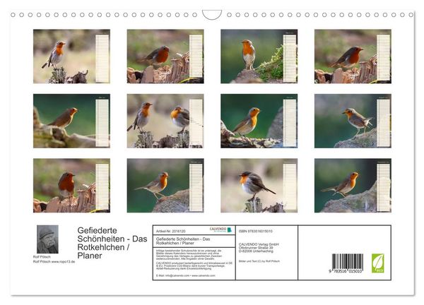 Produktbild: Gefiederte Sch&ouml;nheiten - Das Rotkehlchen / Planer (Wandkalender 2026 DIN A3 quer), CALVENDO Monatskalender