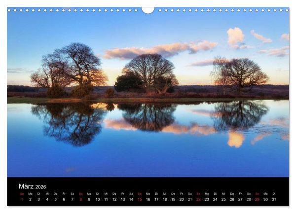 Produktbild: New Forest - England (Wandkalender 2026 DIN A3 quer), CALVENDO Monatskalender