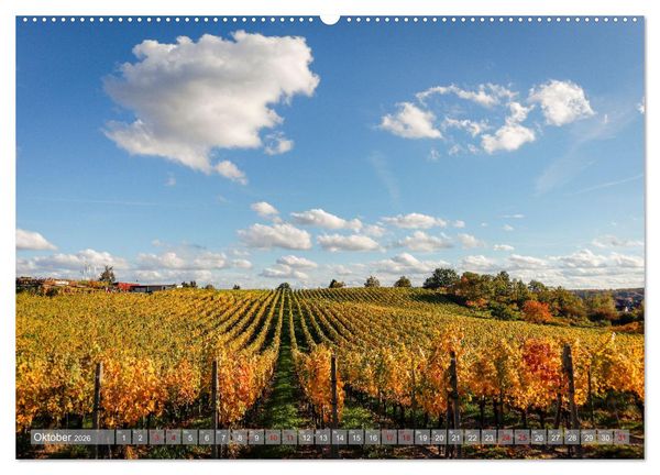 Produktbild: Werder - ein Kleinod an der Havel (hochwertiger Premium Wandkalender 2026 DIN A2 quer), Kunstdruck in Hochglanz