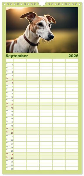 Produktbild: Familienplaner 2026 - Windhunde im Portrait mit 5 Spalten (Wandkalender, 21 x 45 cm) CALVENDO