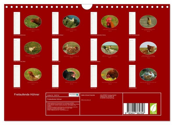 Produktbild: Freilaufende H&uuml;hner (Wandkalender 2026 DIN A4 quer), CALVENDO Monatskalender