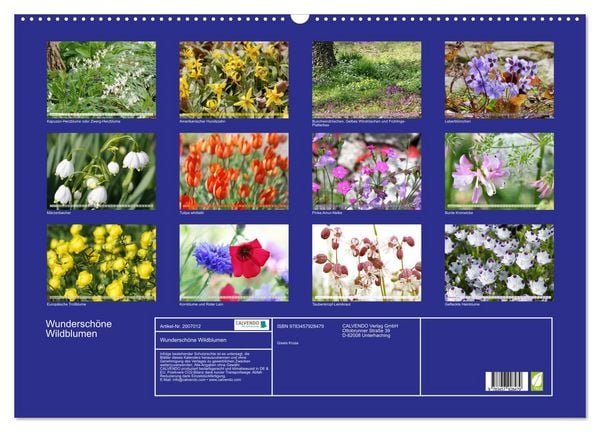 Produktbild: Wundersch&ouml;ne Wildblumen (Wandkalender 2026 DIN A2 quer), CALVENDO Monatskalender
