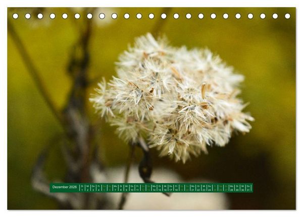 Produktbild: Unterwegs im Deister (Tischkalender 2026 DIN A5 quer), CALVENDO Monatskalender