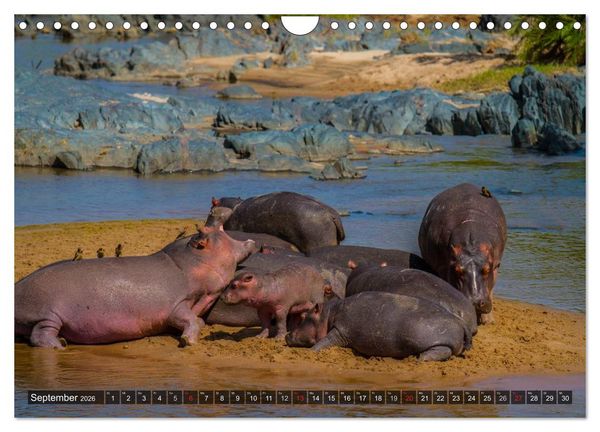 Produktbild: Abenteuer Tansania, Afrika (Wandkalender 2026 DIN A4 quer), CALVENDO Monatskalender