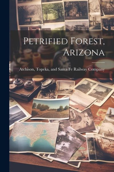 Produktbild: Petrified Forest, Arizona