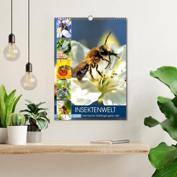 Produktbild: INSEKTENWELT - Heimische N&uuml;tzlinge ganz nah (Wandkalender 2026 DIN A3 hoch), CALVENDO Monatskalender