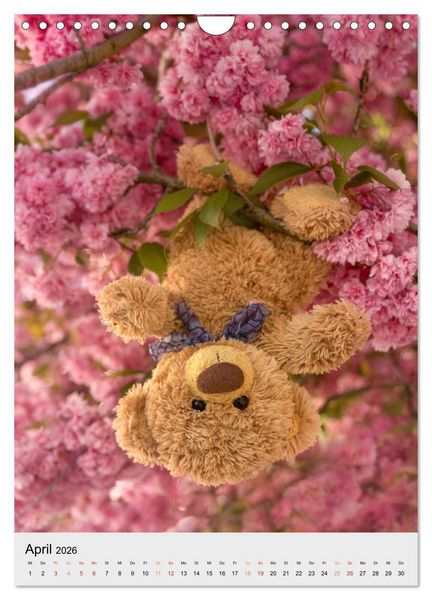 Produktbild: Travelling Teddy liebt es Bunt (Wandkalender 2026 DIN A4 hoch), CALVENDO Monatskalender