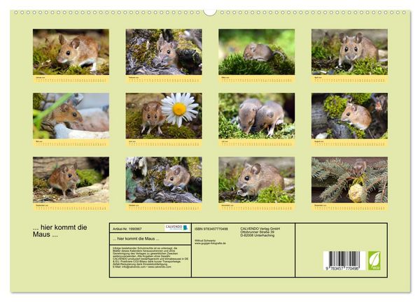 Produktbild: ... hier kommt die Maus ... (hochwertiger Premium Wandkalender 2026 DIN A2 quer), Kunstdruck in Hochglanz