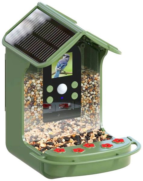 Easypix BirdyCam Wildkamera mit Futterspender Grün