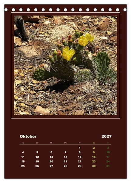 Produktbild: Wilde Kakteen Amerikas (Tischkalender 2027 DIN A5 hoch), CALVENDO Monatskalender