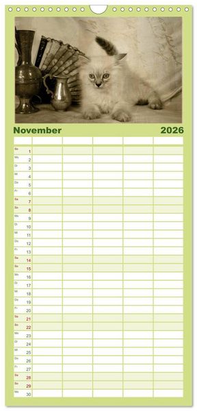 Produktbild: Familienplaner 2026 - Oma's Katzenkalender 2026 mit 5 Spalten (Wandkalender, 21 x 45 cm) CALVENDO