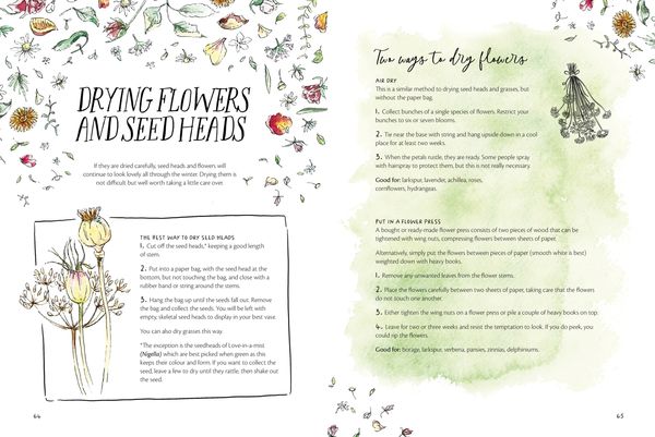 Produktbild: The Magic of Seeds