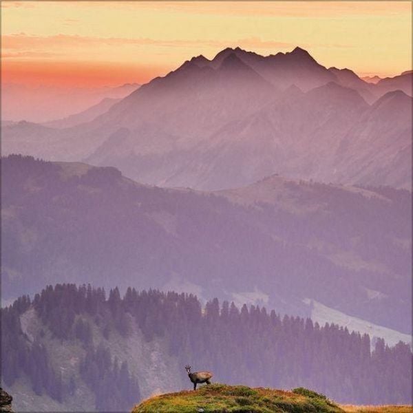 Produktbild: Alpen 2027