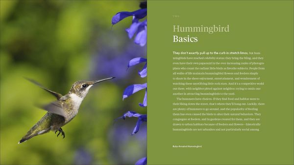 Produktbild: The Hummingbird Handbook