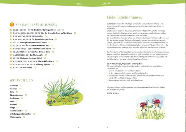 Projektreihe Kindergarten - Die Wiese