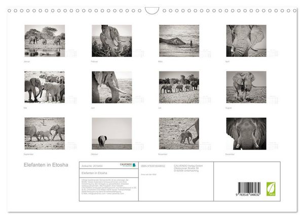 Produktbild: Elefanten in Etosha (Wandkalender 2026 DIN A3 quer), CALVENDO Monatskalender
