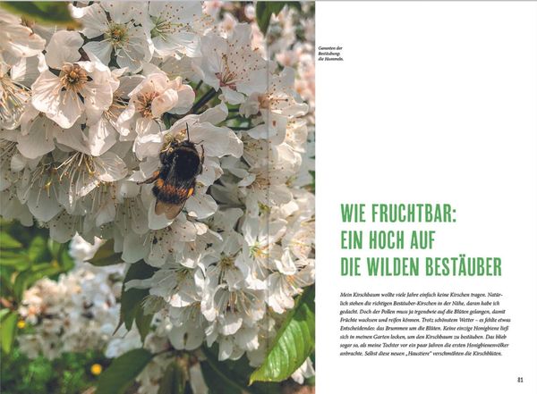 Produktbild: MDR Garten - Richtig g&auml;rtnern f&uuml;r N&uuml;tzlinge